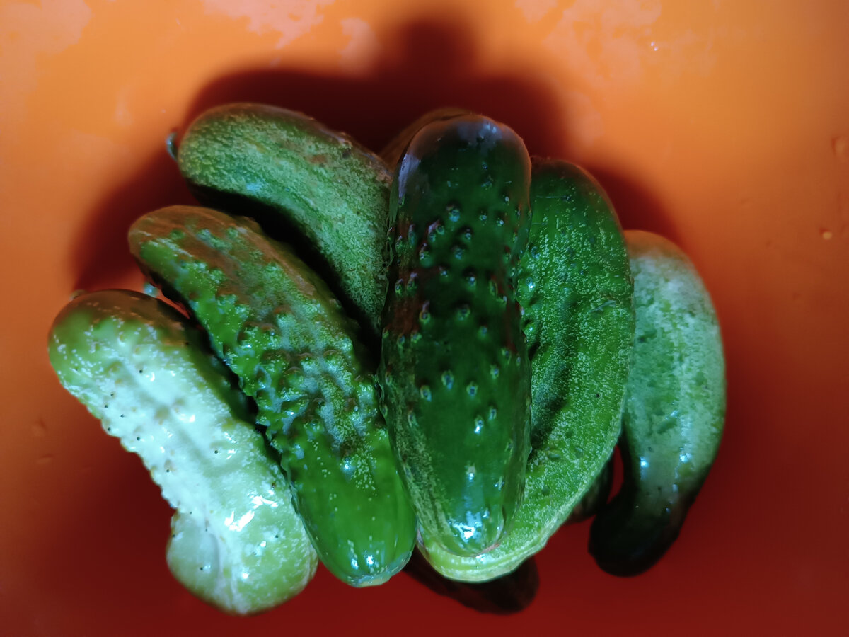 Огурцы помыли