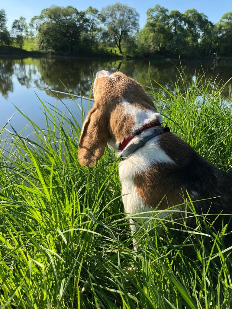 Наша Фаня на рыбалке