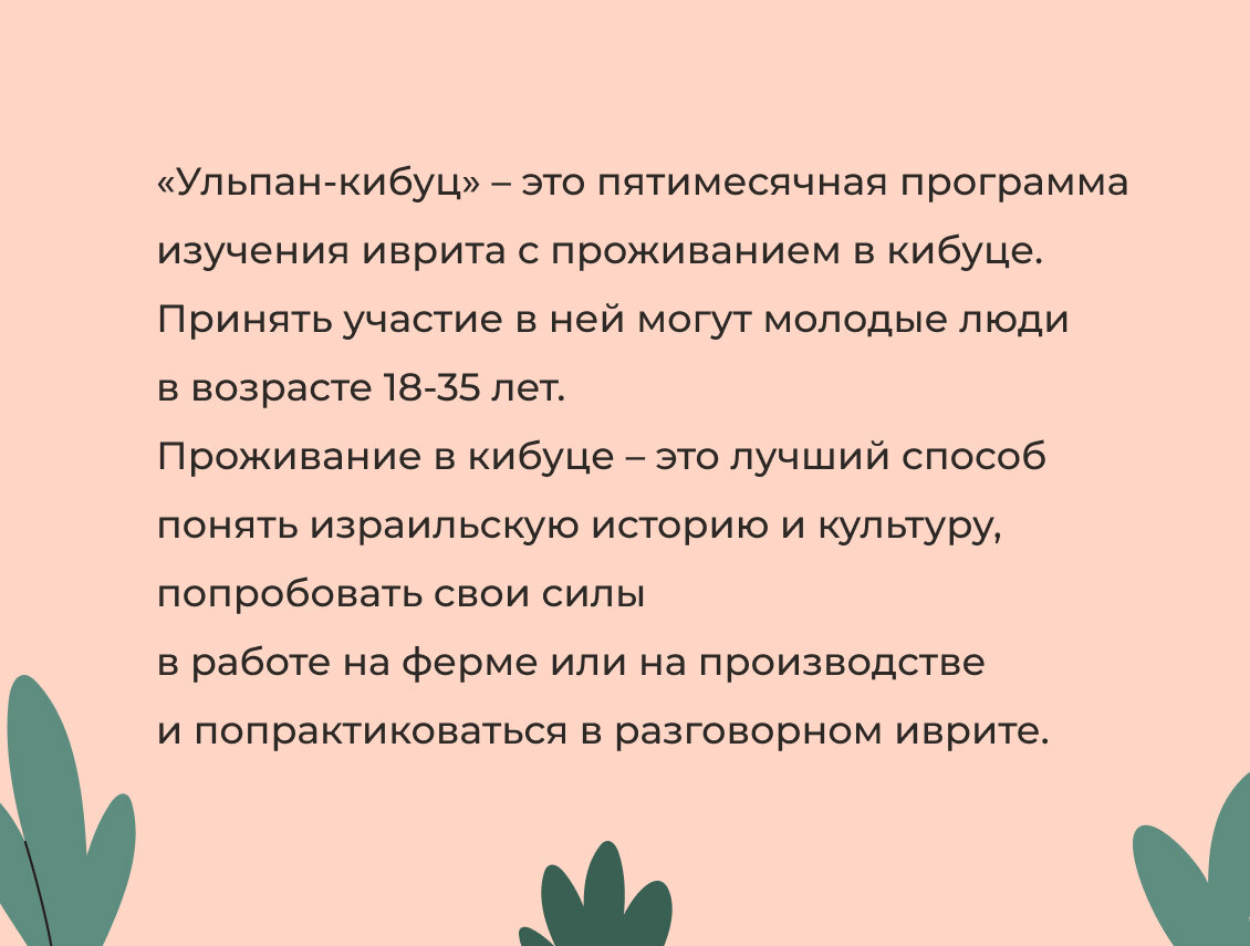 Социальные программы для новых репатриантов в Израиле: Что нужно знать? |  РИКЦ | Репатриация в Израиль и второе гражданство | Дзен