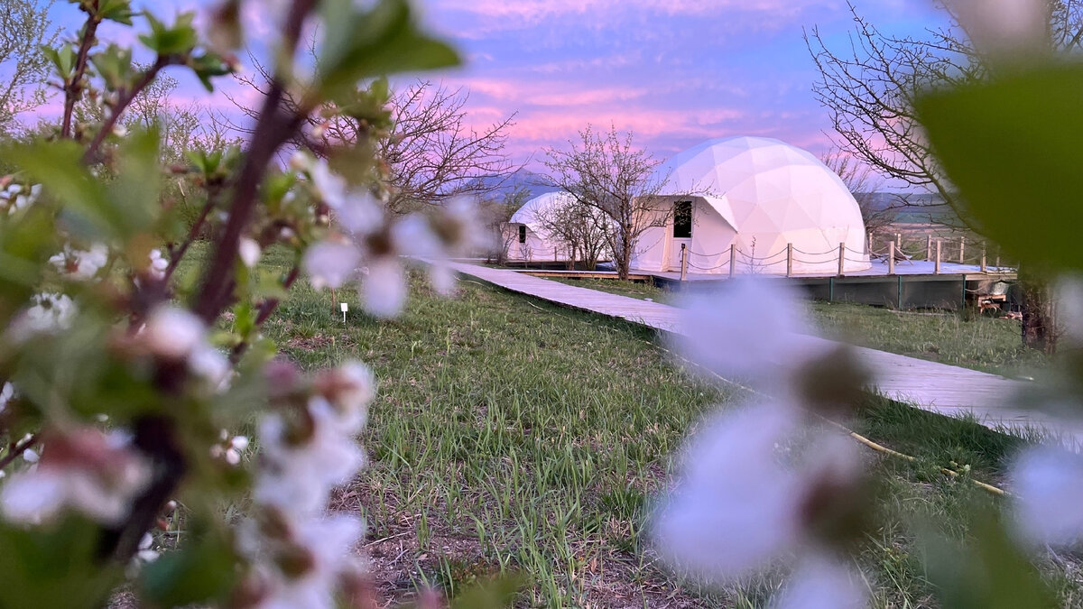 The Garden / Naturalist.travel