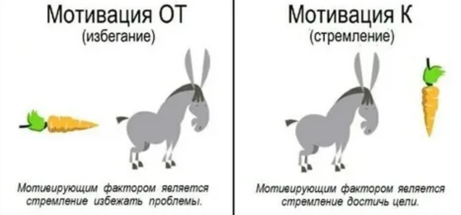 Мотив избегания. Осел морковка мотивация. Две мотивации морковка спереди.