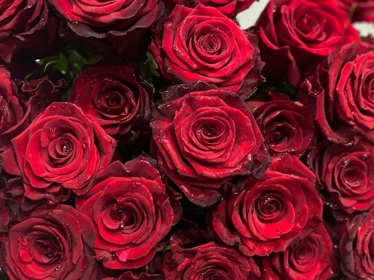   Анастасия Батищева