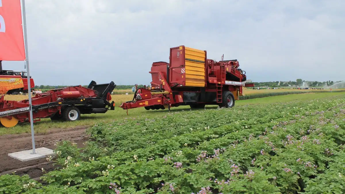 Фото: glavpahar.ru Картофелеуборочная техника и поле с картофелем в Брянской области