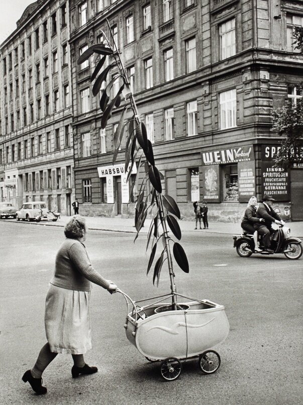 "Женщина с растением", Вена, 1954. Фотограф Франц Хубманн