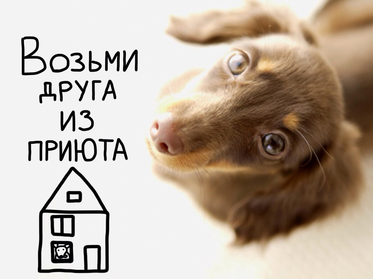  Все, что нужно но найдет свой дом!В