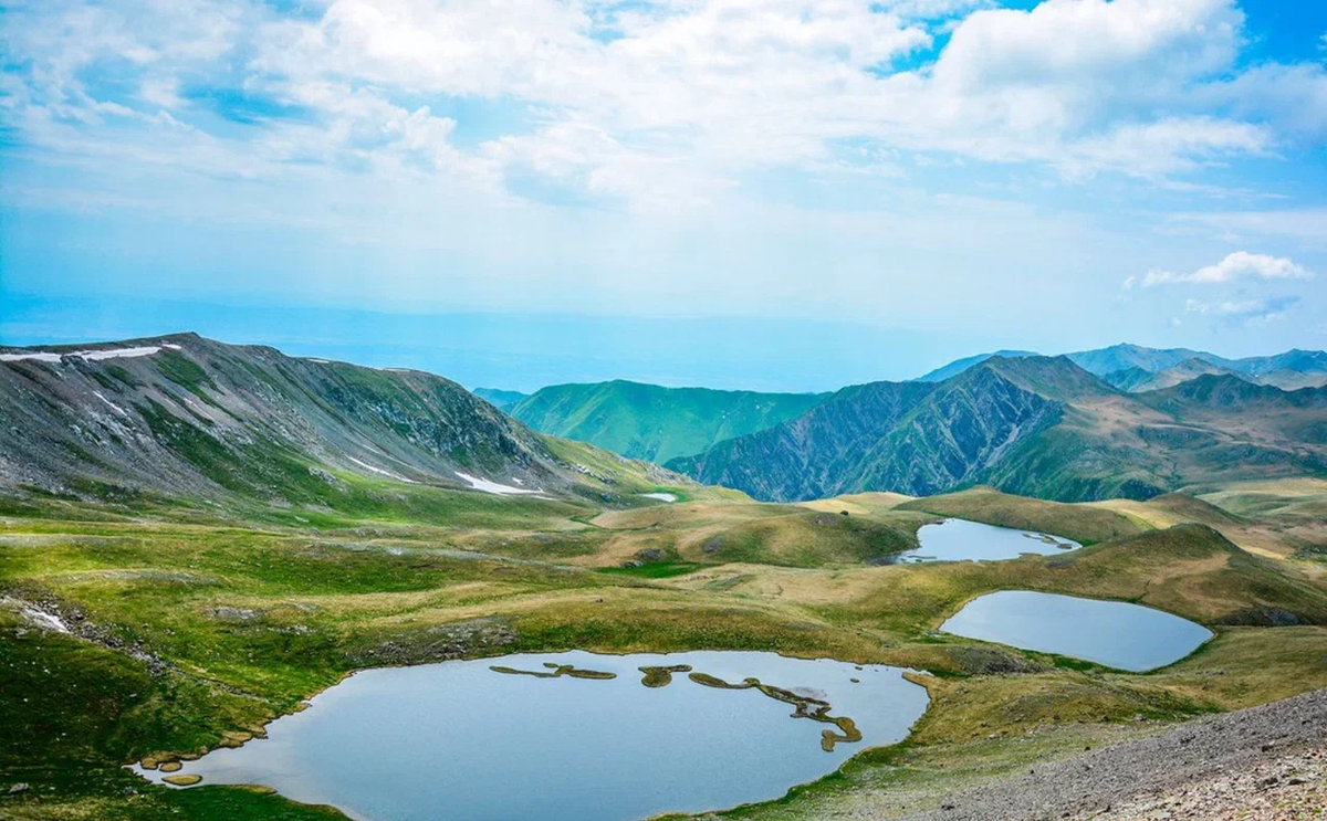 лагодехский заповедник грузия