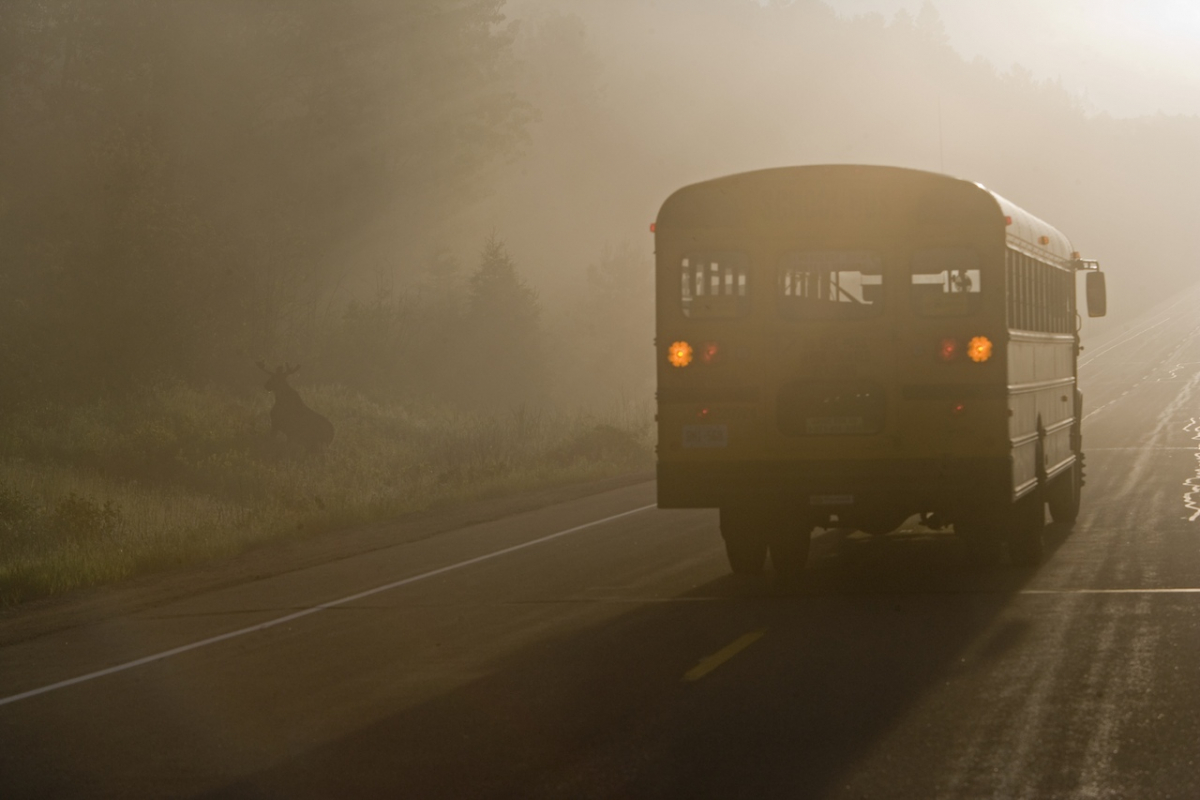 Иллюстрация к содержанию