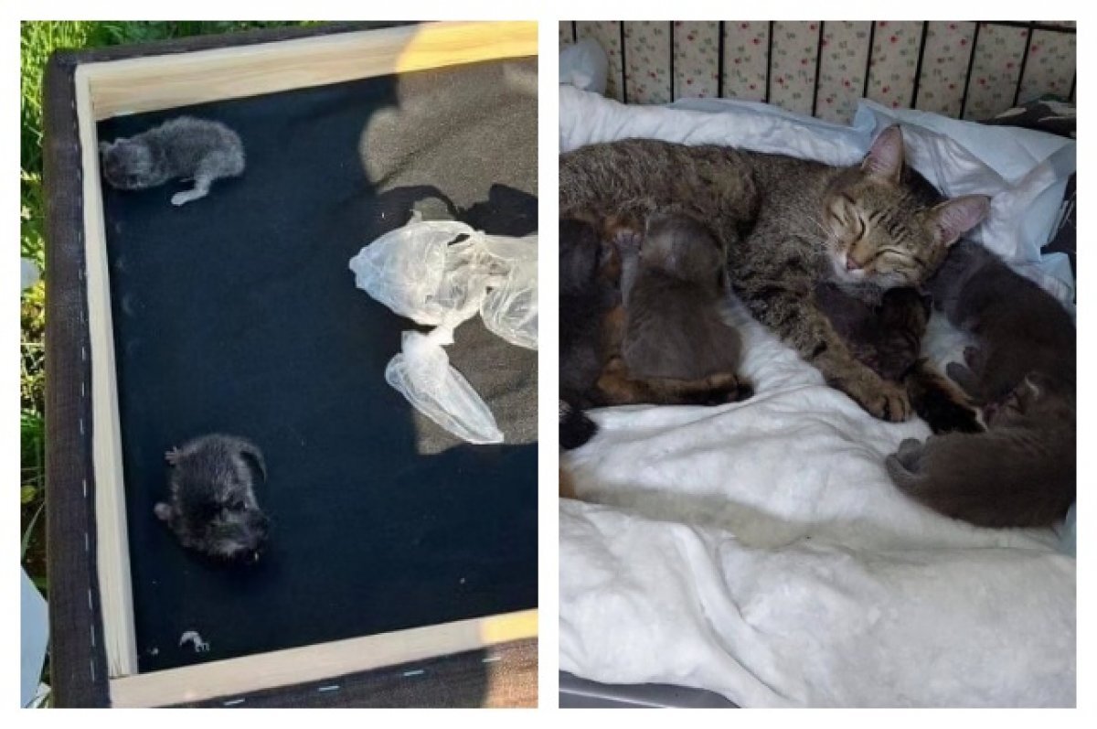    Выбросили на помойку.