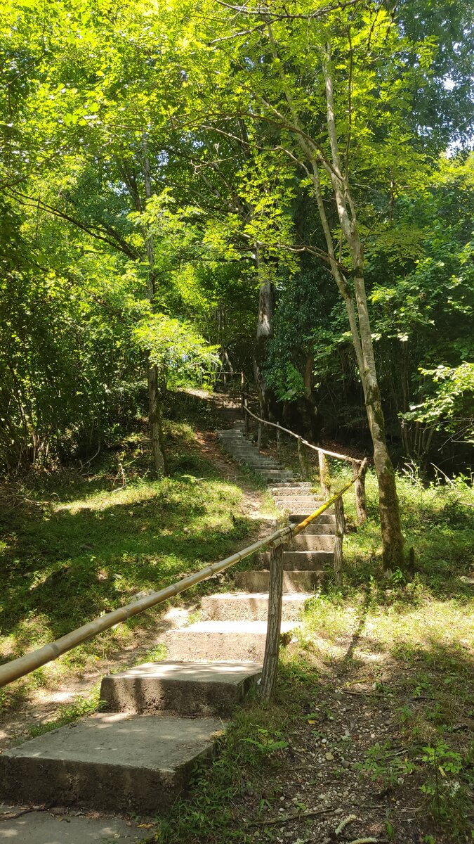 Дорога к могиле св. м. Василиска