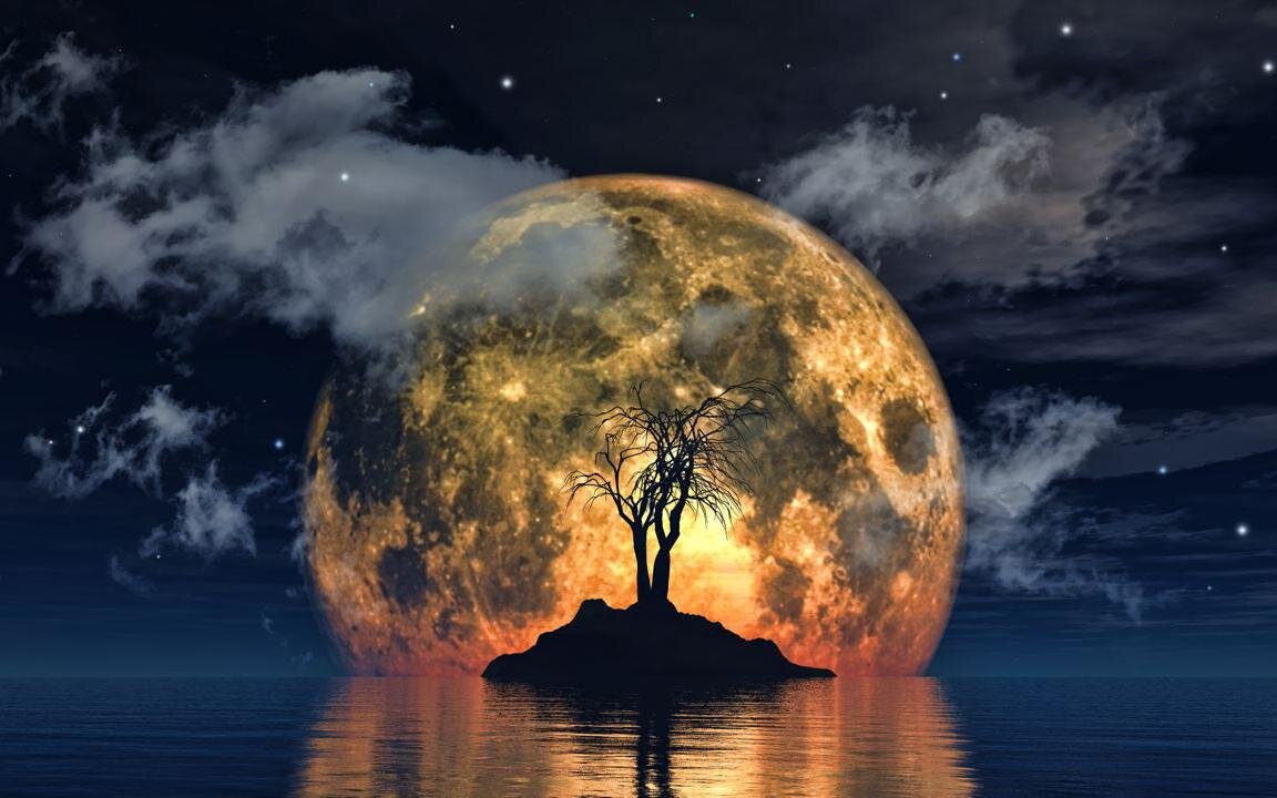    Freepik