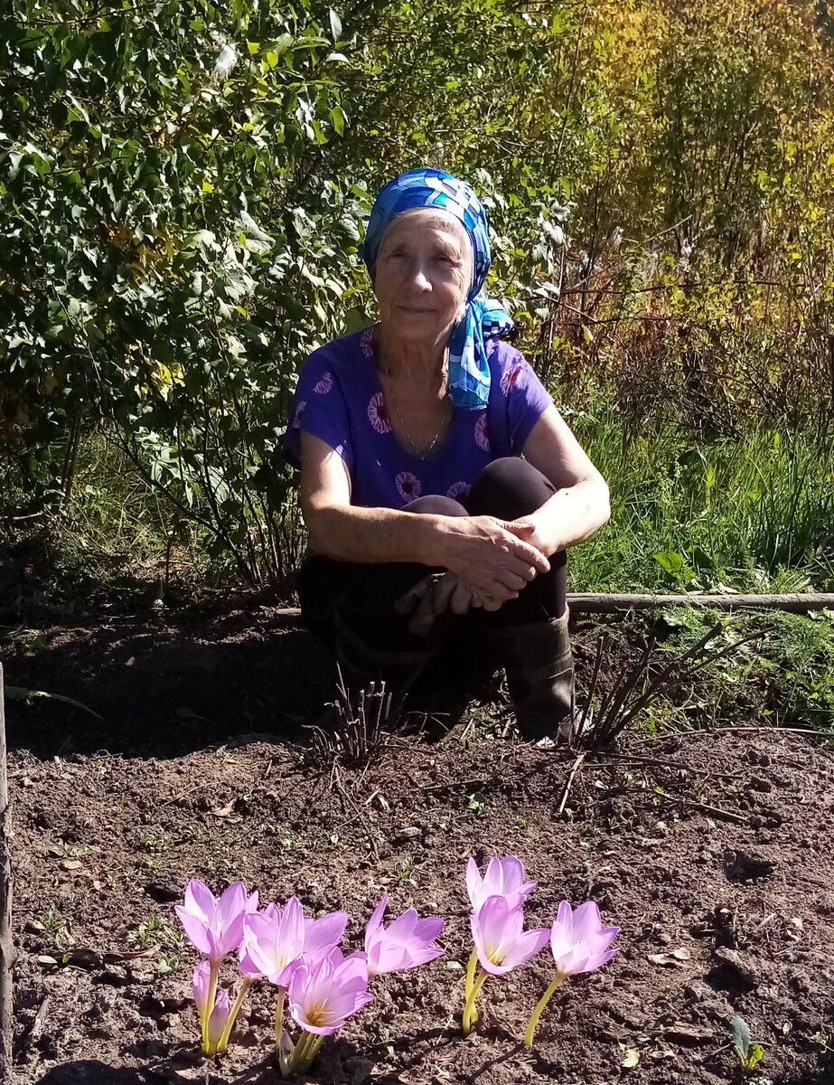 В саду ли в огороде (все фото автора)