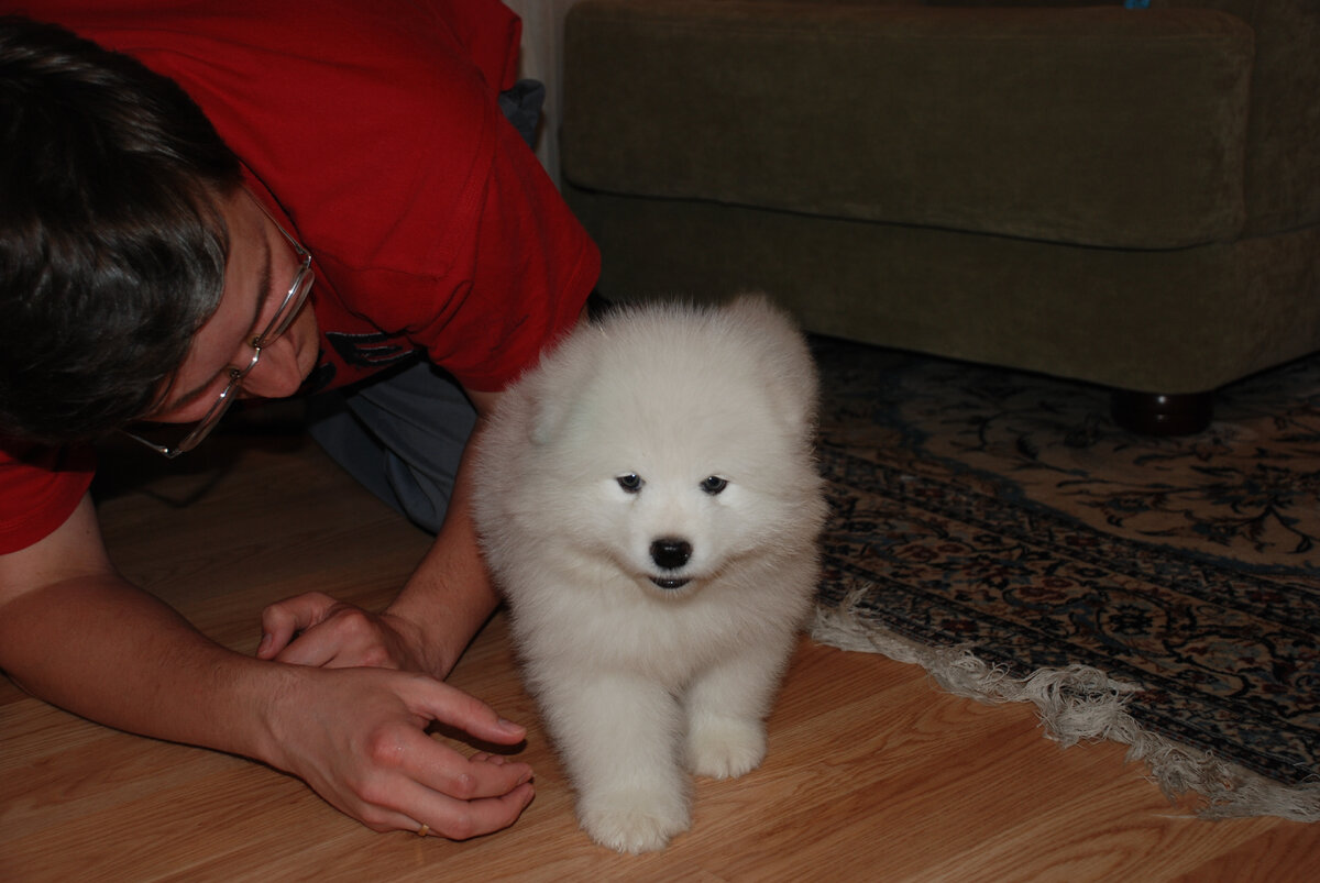 Руся еще мелкий щен