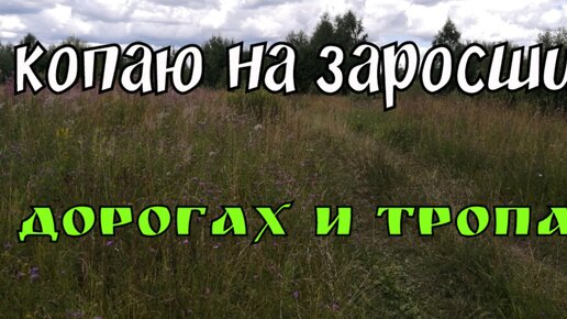 КОПАЮ НА ЗАРОСШИХ ДОРОГАХ И ТРОПАХ. ПОИСК МОНЕТ И СТАРИНЫ С ЭКВИНОКС 800.