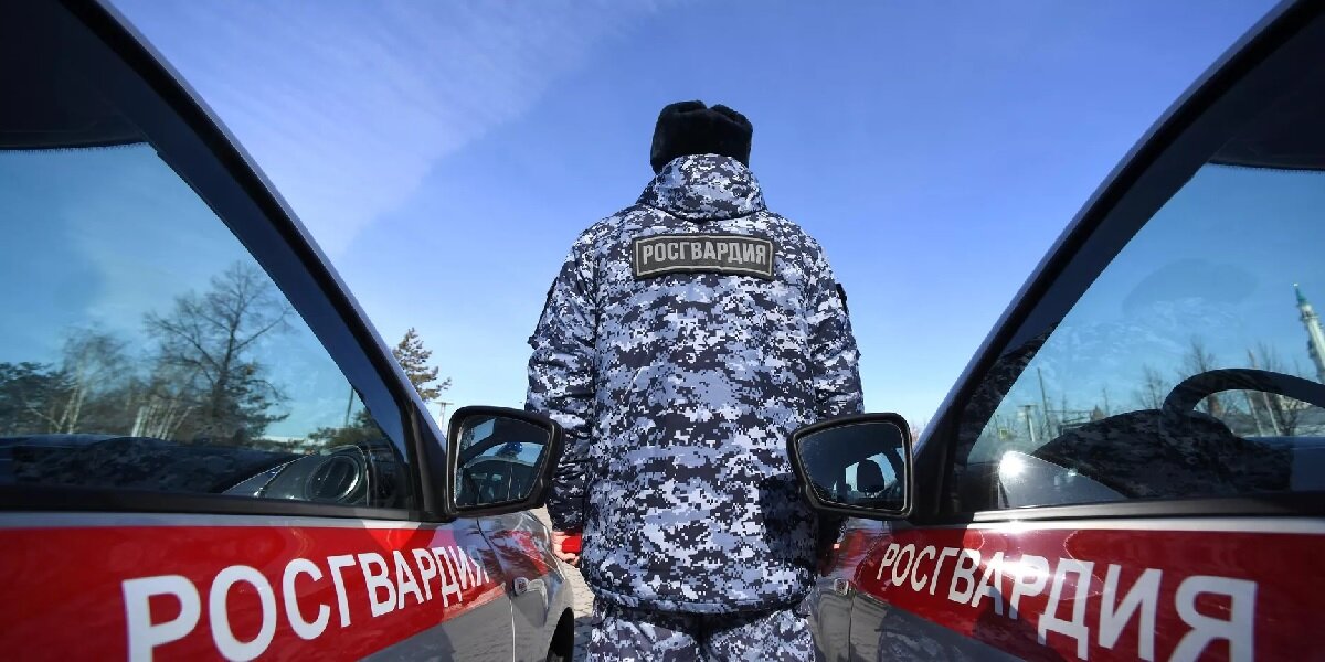 Фото: РИА "Новости" (https://cdnn21.img.ria.ru/images/07e5/03/1a/1602930558_0:246:3204:2048_1920x0_80_0_0_33606490e0dffa3f94e90abcd6a361ea.jpg.webp)