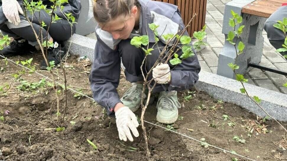     Молодёжь Спасска-Дальнего активно участвует в благоустройстве родного города и помогает горожанам определить облик общественных пространств города цементников.