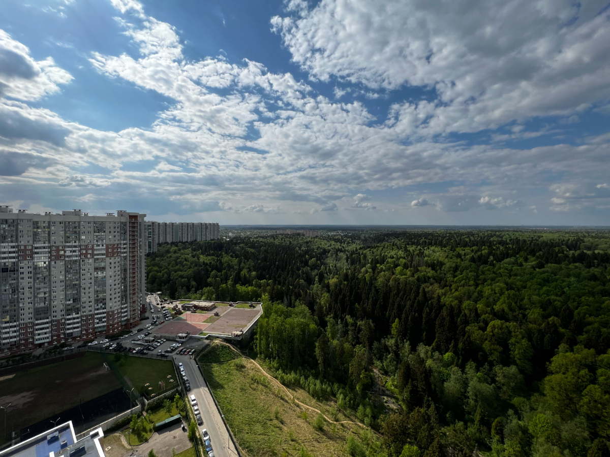 Изумрудные холмы Изумрудные холмы
