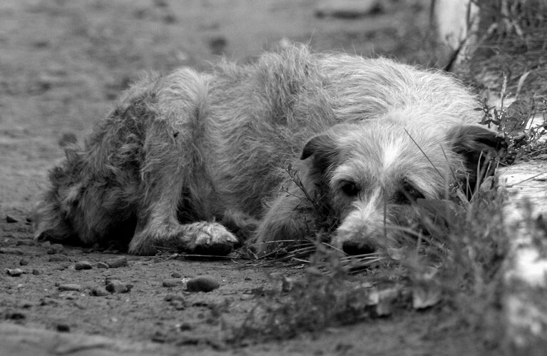 фото из открытых источников.