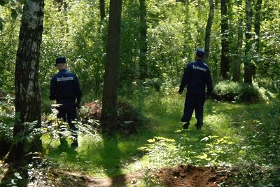    Поиск потерявшихся в лесу ©пресс-служба зампреда правительства МО Дмитрия Пестова