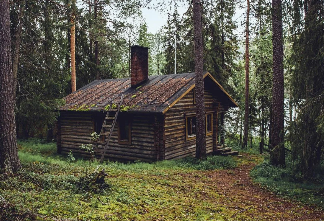Яндекс картинки