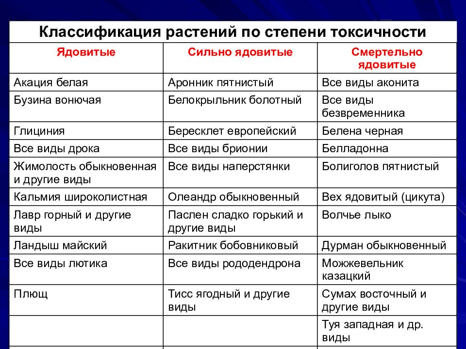Фото сайта https://slide-share.ru