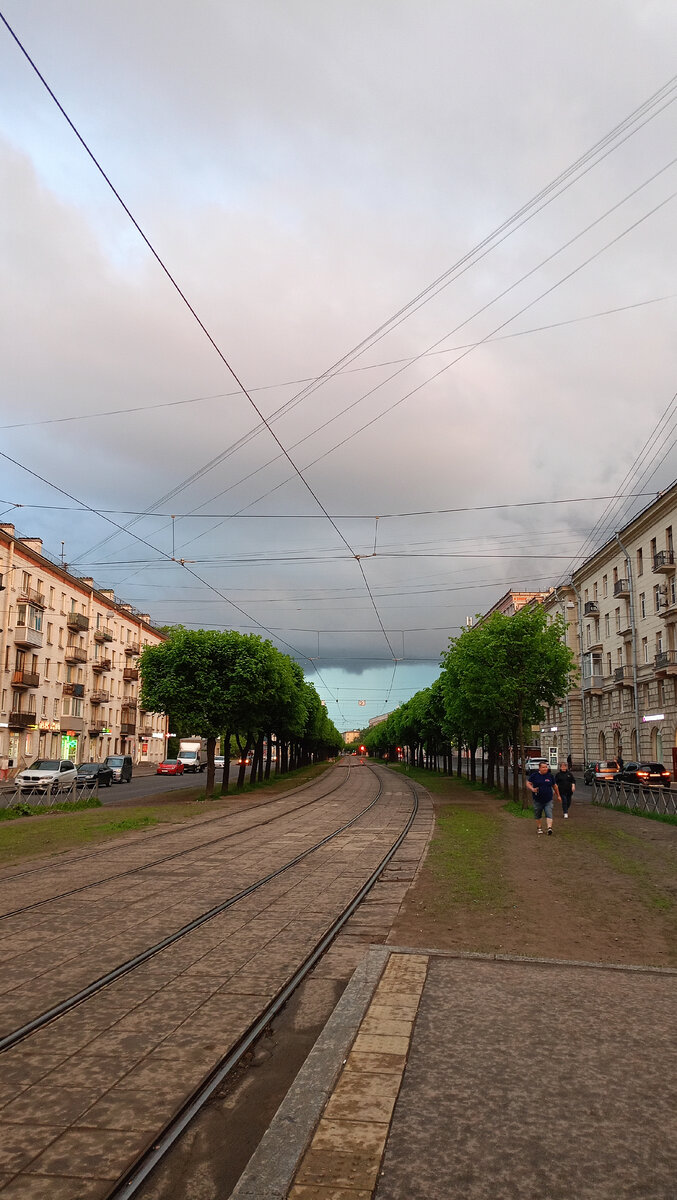 Петербург. Дождь, шаверма, орган + дудук, сирень | Вот такая я  путешественница. | Дзен