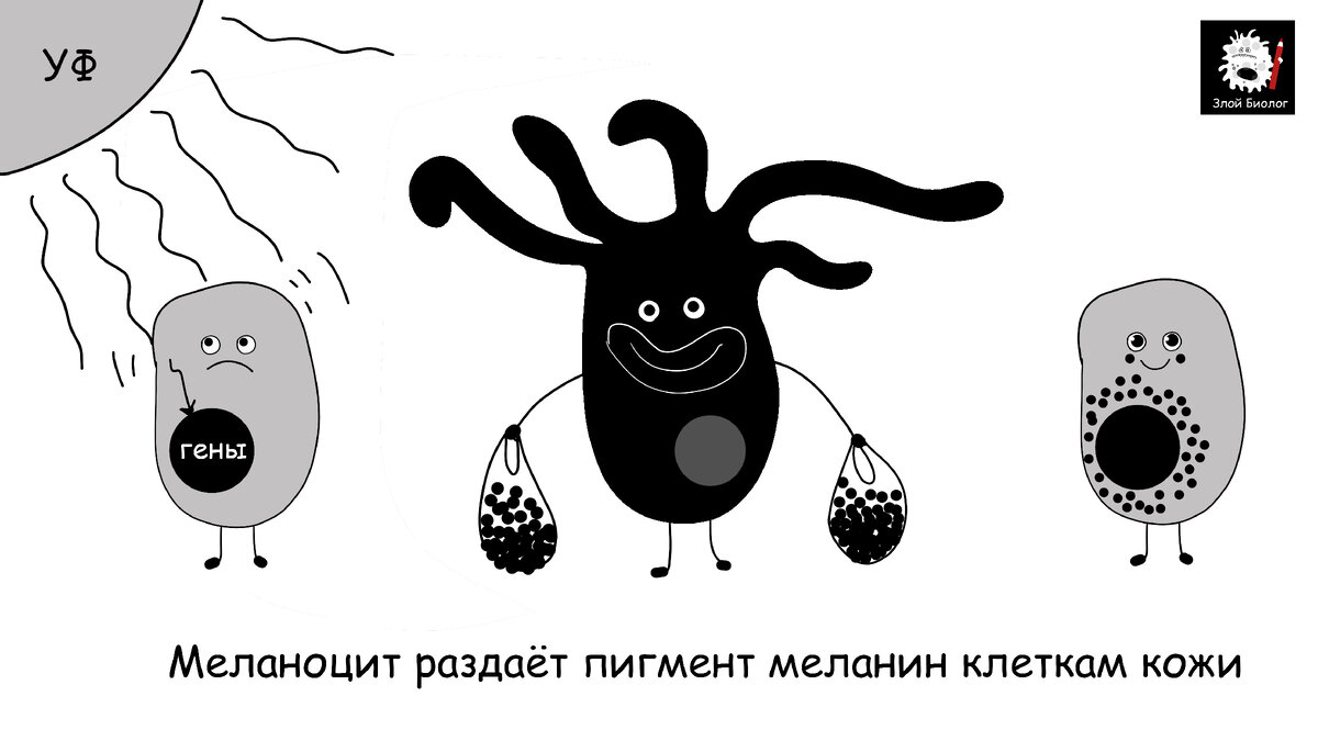 Можт не очень толерантно получилось, ну да ладно. Зато наглядно