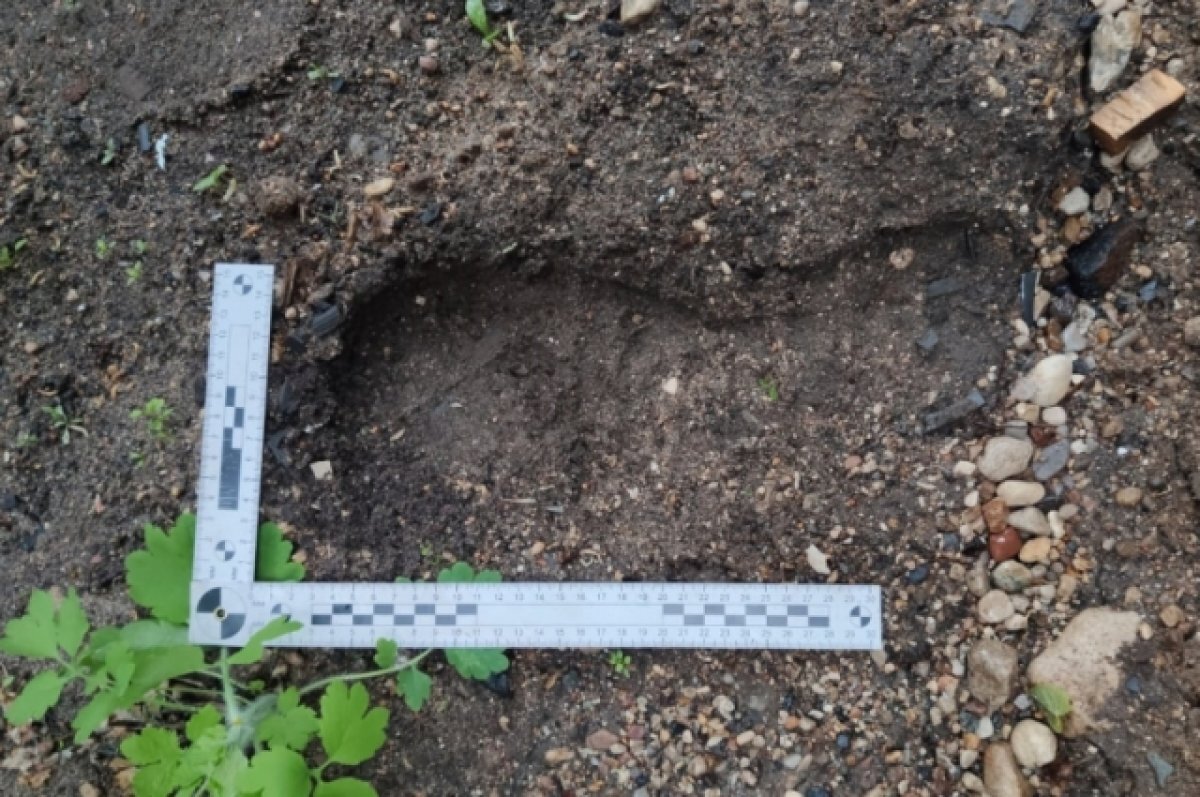    Житель Тверской области спугнул вора, который забрался ночью к нему во двор