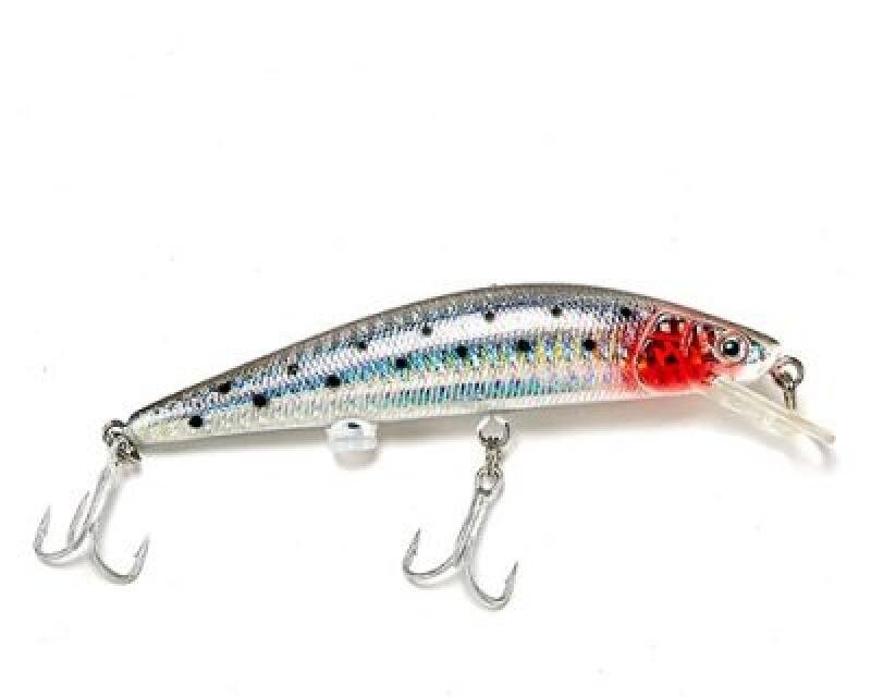 Фото с сайта: https://sp.bvf.ru/image/photos/bd/43/36/19766906_s2.jpg