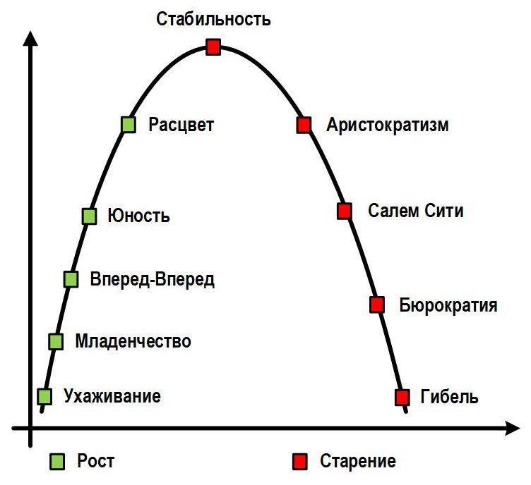 Жизненный цикл компании по Адизесу