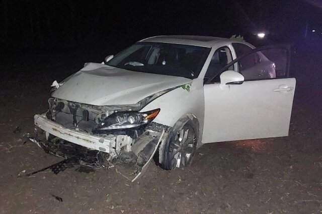    Фото: Telegram-канал «Новоаннинский сегодня» 