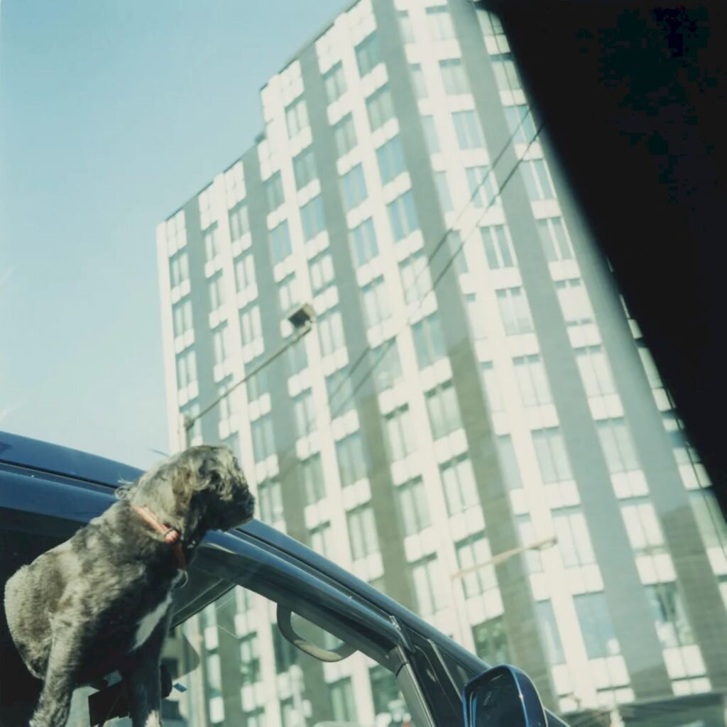     Фото: Mikiko Hara