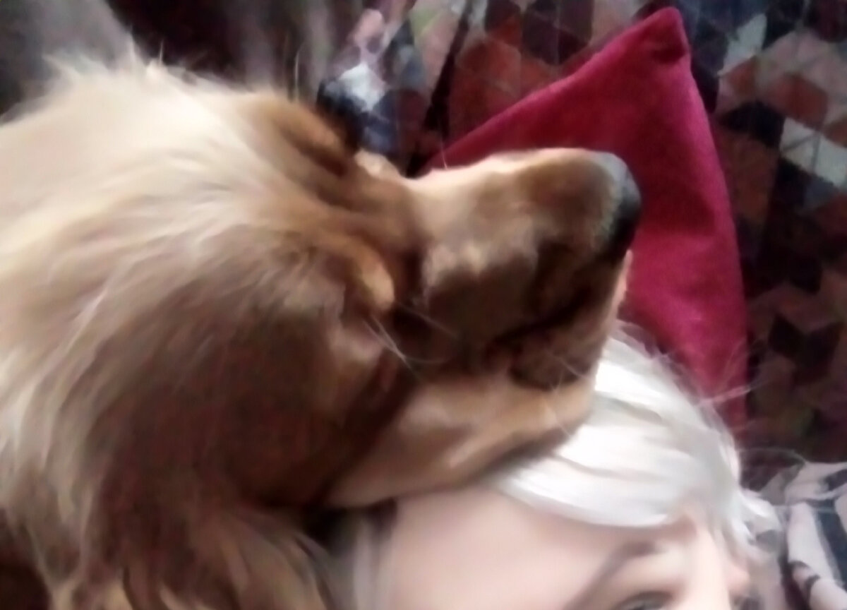 Незнаю,  плакать или смеяться. Доходит до того, что и на голове бывает спит.