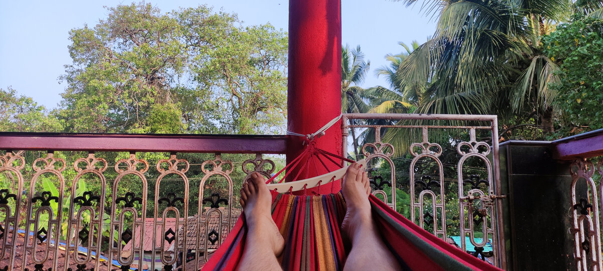 С таким видом я чилил на гамаке на балконе дома в течение января