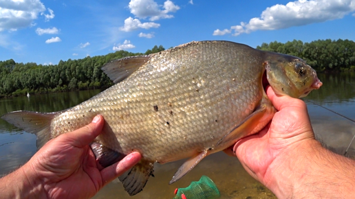 Пенопласт Для Рыбалки/на белую рыбу/ароматизатор для пенопласта/My fishing