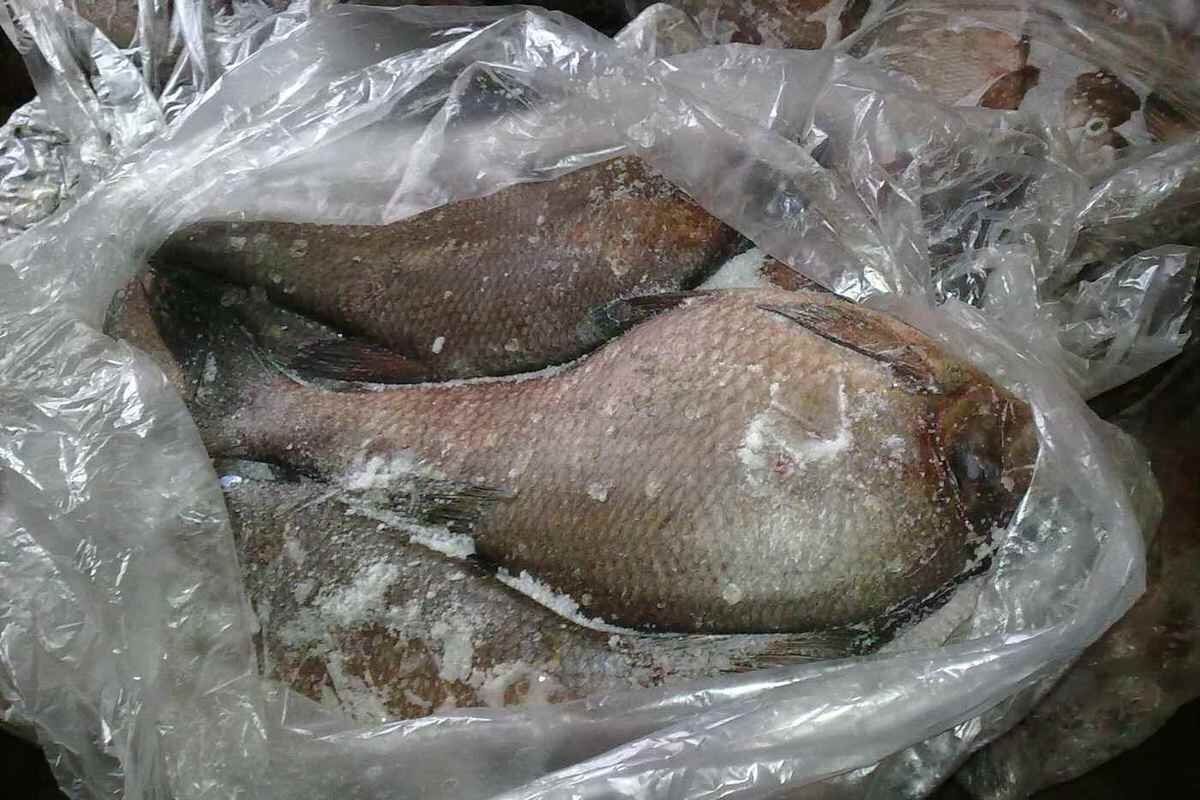 Лещ мороженый, подсоленный.
