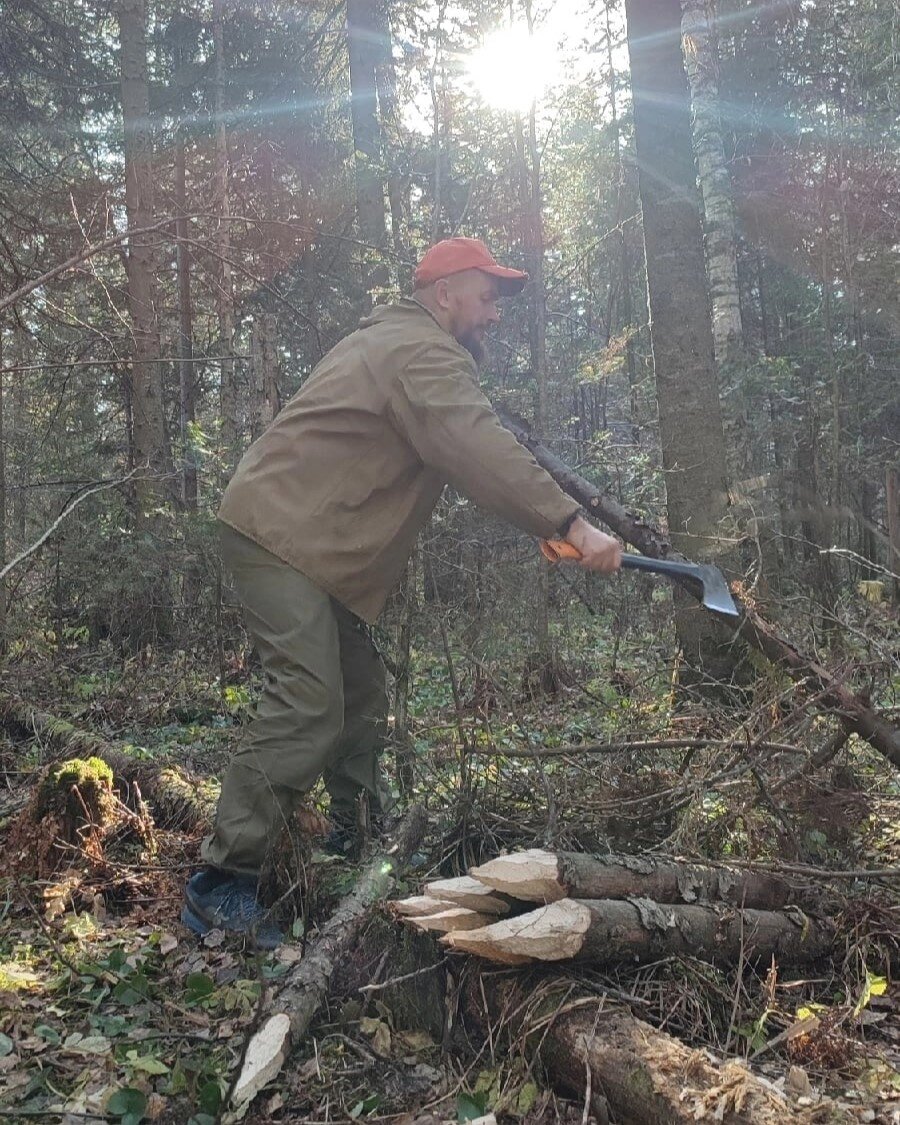 Не рубим ни одного живого дерева. 