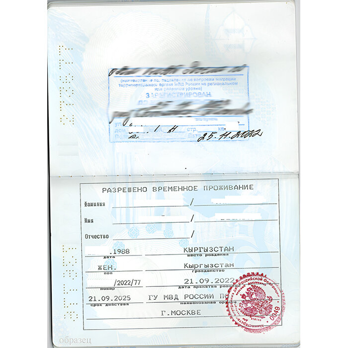 Образец РВП 