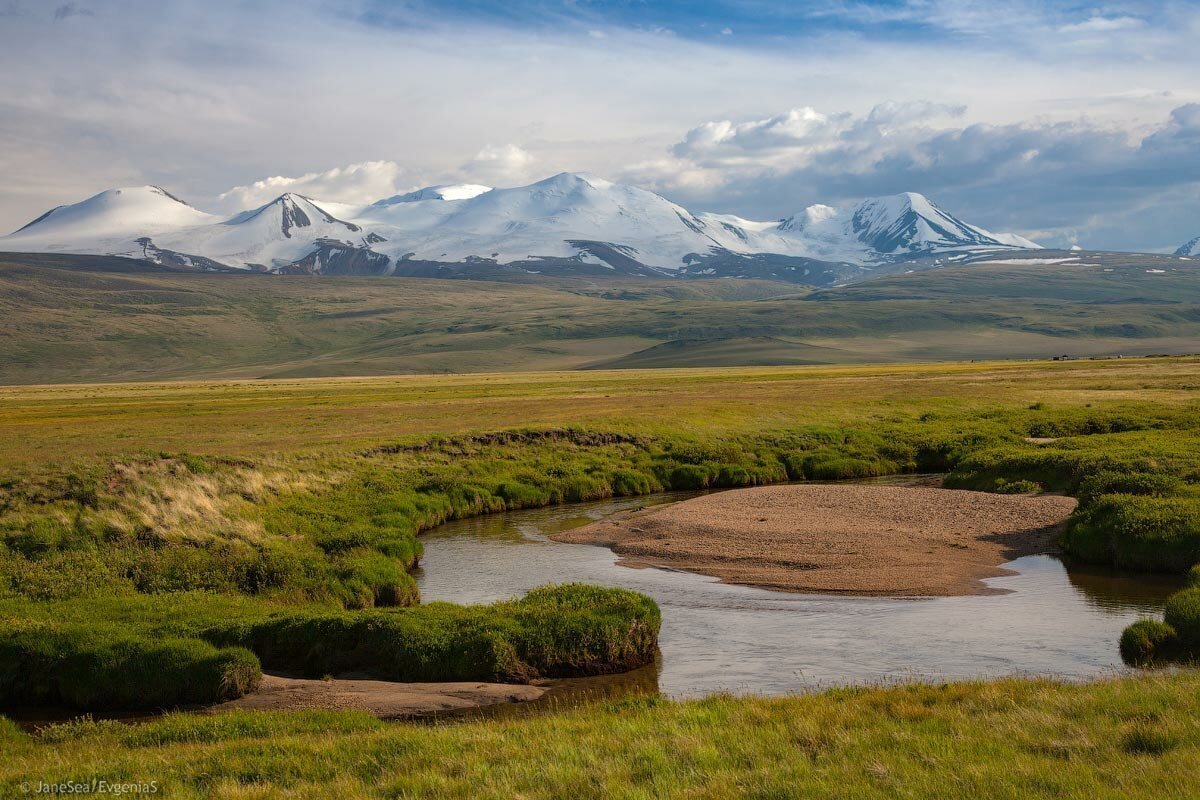 Плато Укок горный Алтай фото