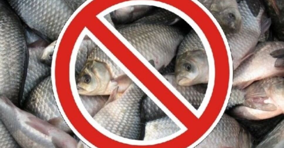 Нерестовый запрет 2023