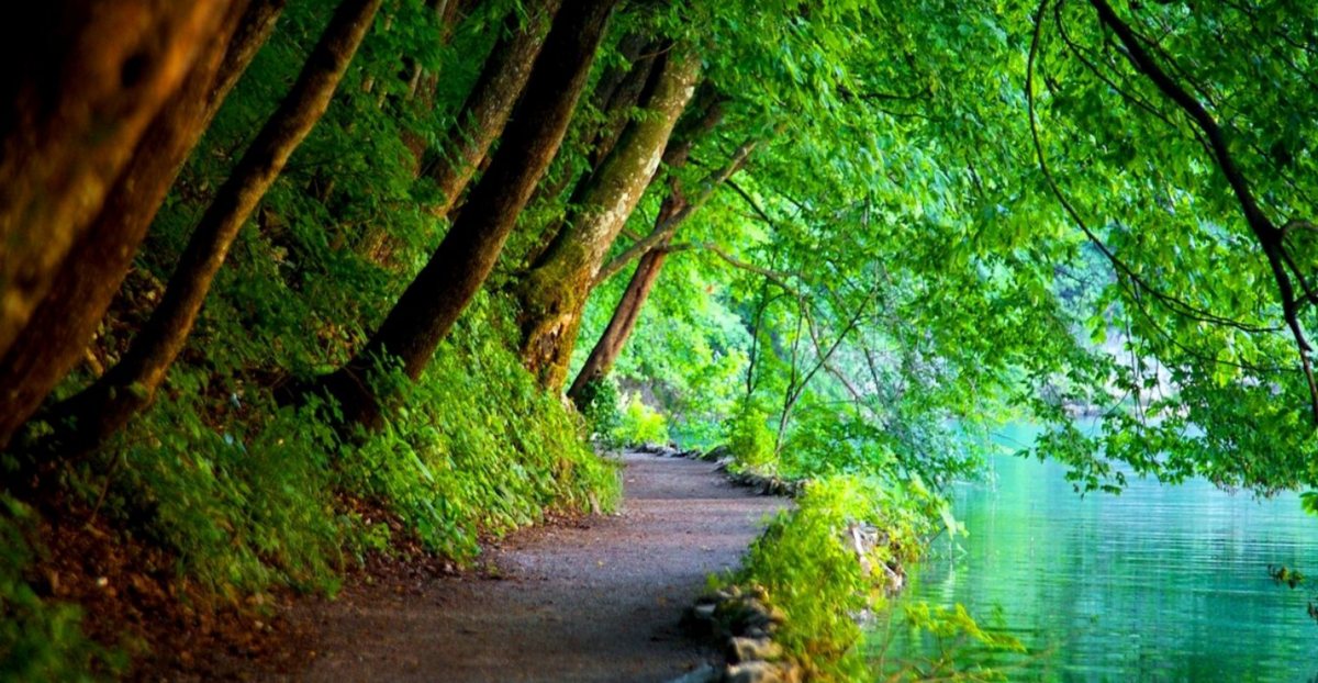 Cкриншот-цитата бесплатные обои free wallpaper https://wallpaperaccess.com/hd-nature 