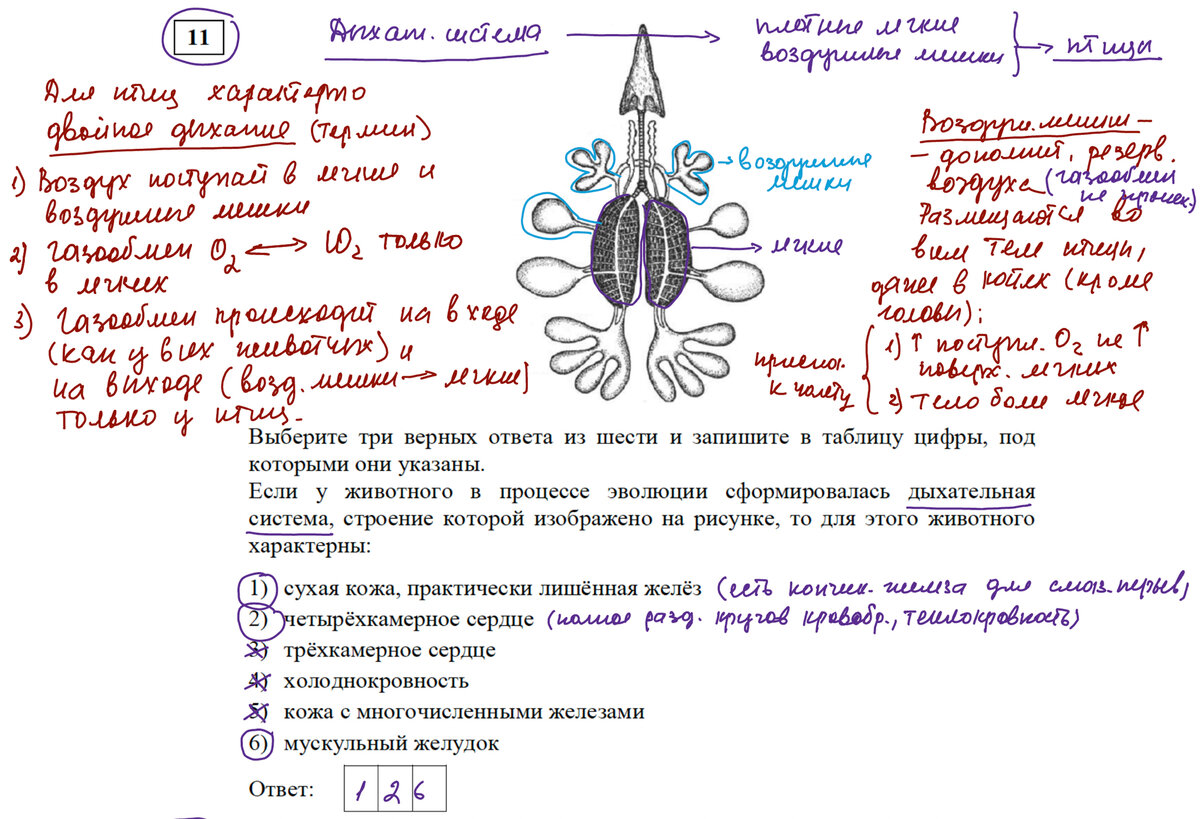 Огэ 2023 задание 17