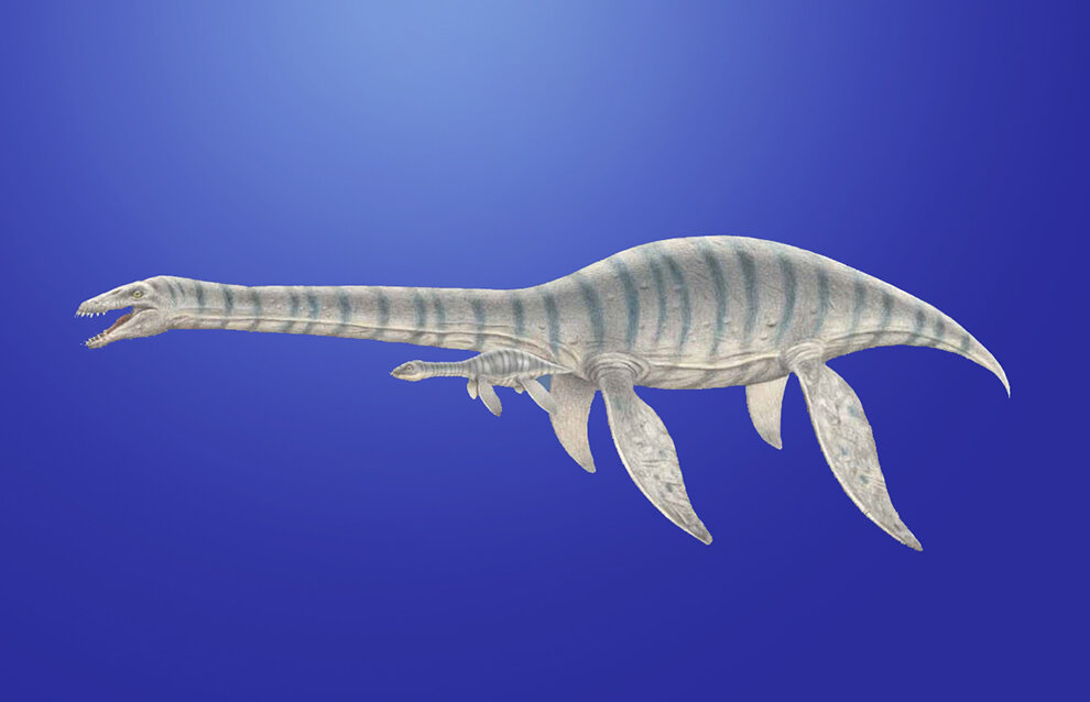 Миллионы лет назад, когда архипелаг Шпицберген был скрыт под толщей воды, это место населяли огромные ящеры – плиозавроиды. Они достигали 12–14 м в длину, одна только голова достигала 3 м.