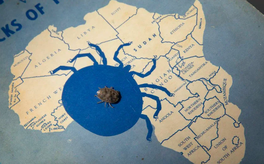  Фото: Jonathan Cohen / Binghamton University 