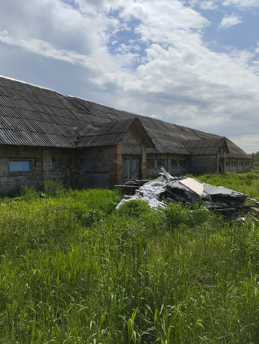 Порядок навести, и можно разводить животных.