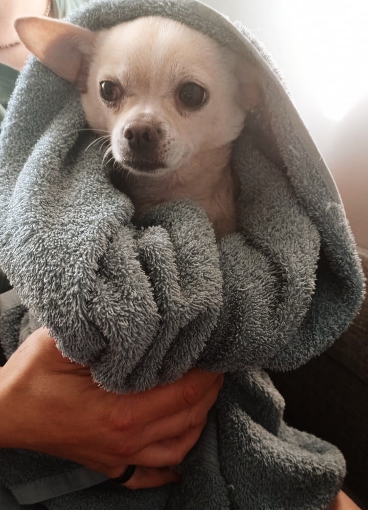 Поночка после купания)