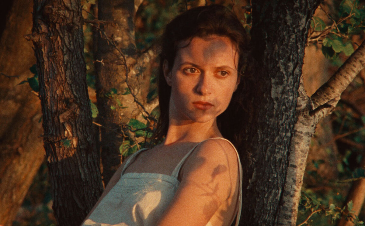 Кадр из фильма "L’envol" Пьетро Марчелло (2022)