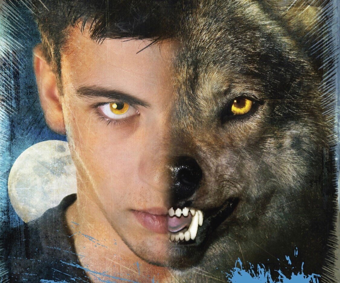 Фото взято из открытого источника © 2023 Любое копирование материала без согласия автора и прямой ссылки на канал запрещено.