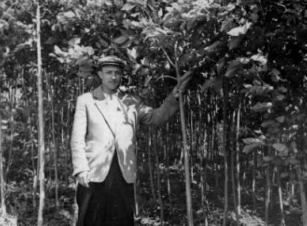 фото Иван Захарович Шишов