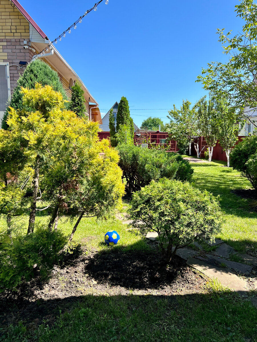 Фото автора.