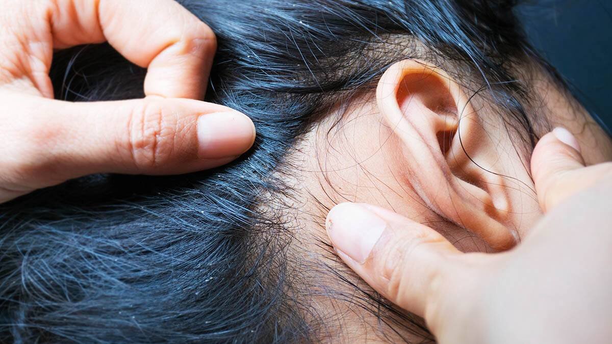    Фото: shutterstock